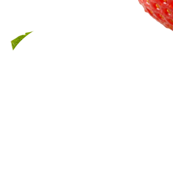 Leaf erased: enlarged detail
